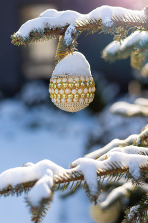 a Christmas toy hangs on a snow-covered tree. Sunny weatherの写真素材