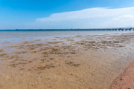 Low tide on the Red Sea. Photo from the shoreの写真素材