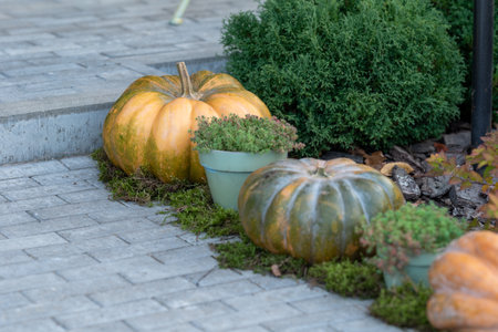 Porch decor for harvest or Halloween. Yellow, orange and green pumpkinsの写真素材