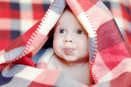 The amusing four-months baby covered by a checkered plaid の写真素材