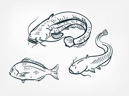 catfish sheatfish set collection japanese chinese oriental vector ink style design elementsのイラスト素材