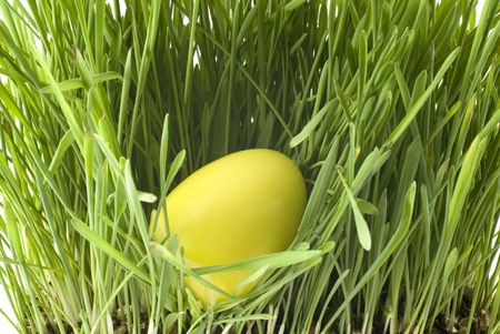 a yellow easter-egg