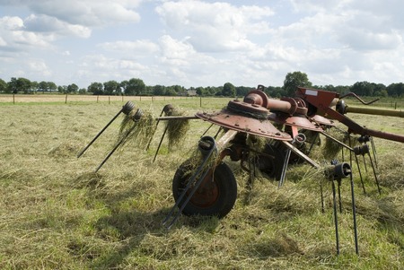 turn around hay to dry