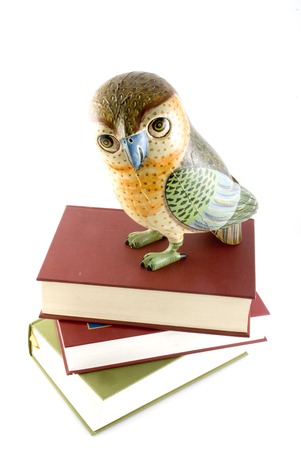 wisdom with a lot of booksの写真素材