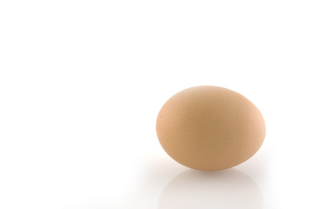 simple brown egg on white