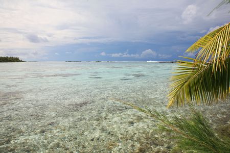 tropical sea with coral riff at the coast