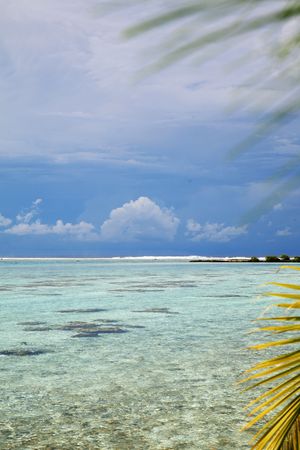 tropical beach with coral riff and palm treesの写真素材