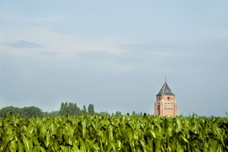 Landscape with maize and churchの写真素材
