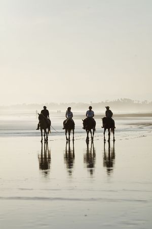 horse riding at the beachの写真素材