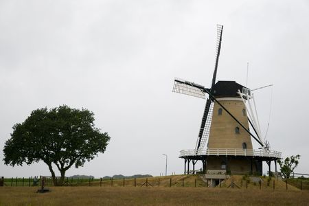 Dutch windmill with treeの写真素材
