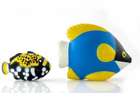 Tropical colorful toy fishes の写真素材