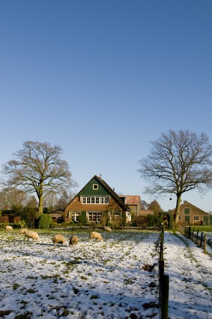 Winterlandscape with sheep and farmhouseの写真素材