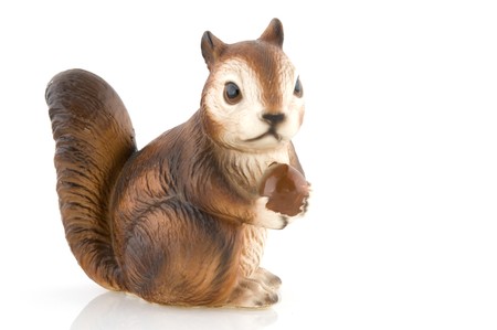 squirrel with nutsの写真素材