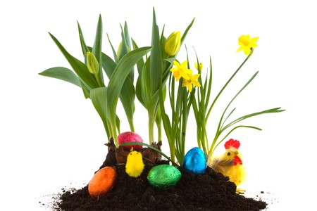 easter eggs hidden in the spring garden