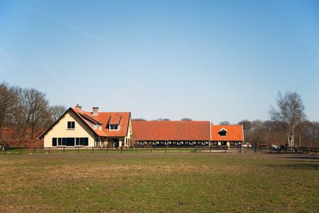 Manege for riding school with horsesの写真素材