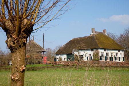 Farmhouse with pollard willows in Dutch landscapeの写真素材