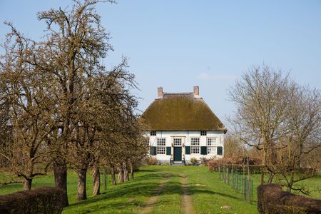 Farmhouse with pollard willows in Dutch landscapeの写真素材