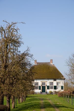 Farmhouse with pollard willows in Dutch landscapeの写真素材