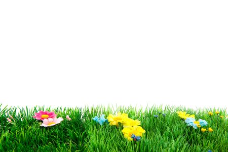 Summertime with cheerful flowers and green grass