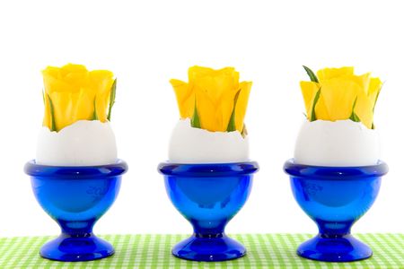 Yellow roses in blue egg cups and eggs