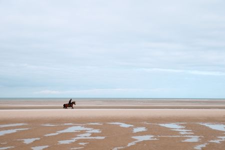 Spurrs at the empty beach in the sunの写真素材