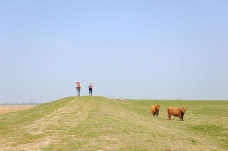 couple is walking in nature with Scottish Highlanderの写真素材