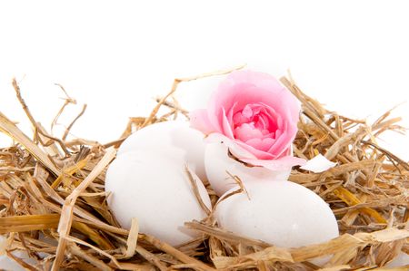 straw bird nest with white eggs isolatedの写真素材