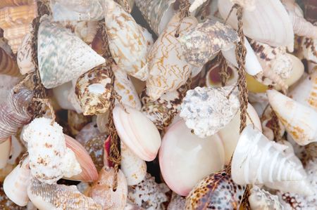 Many hanging shells in souvenir shopの写真素材