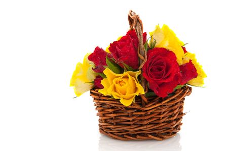 basket with mixed red and yellow roses isolated over whiteの写真素材