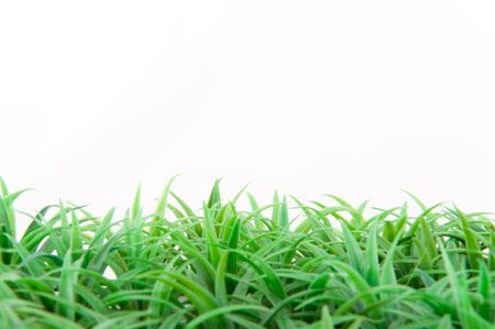 artificial green grass isolated over white backgroundの写真素材