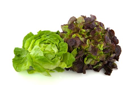 Lettuce assortment crisphead and red oak leavesの写真素材