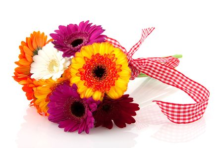 beautiful bouquet colorful Gerber with checkerer ribbon isolated over whiteの写真素材