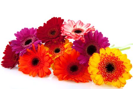 Bouquet of beautiful colorful Gerber isolated over whiteの写真素材