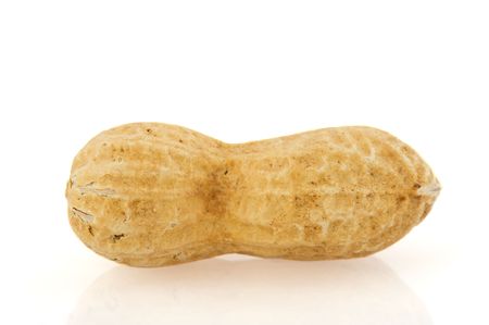 many burned peanuts isolated over white backgroundの写真素材