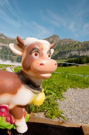 In the mountains cow from Switzerland の写真素材