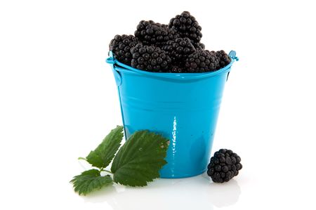 Blue bucket filled with blackberries isolated over whiteの写真素材