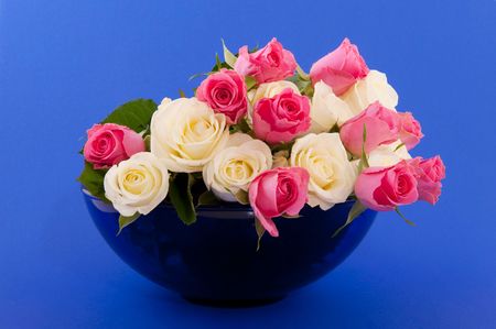 Bouquet pink and white roses on blueの写真素材
