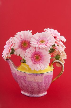 Bouquet pink Gerber in classique tea potの写真素材