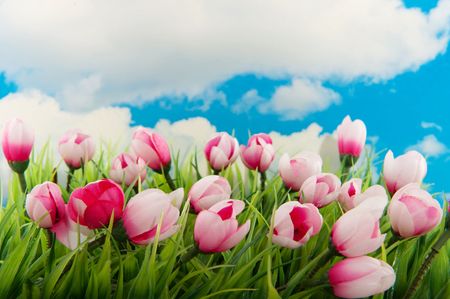 Decoration green grass with plastic tulips in frontの写真素材