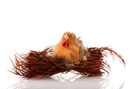 Little bird on nest for easter on white backgroundの写真素材