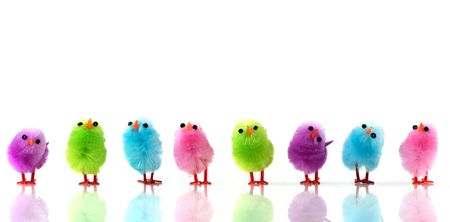 Many multicolor easter chicks in a rowの写真素材