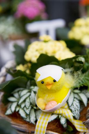 Little decorative easter chick in container with plants for springの写真素材