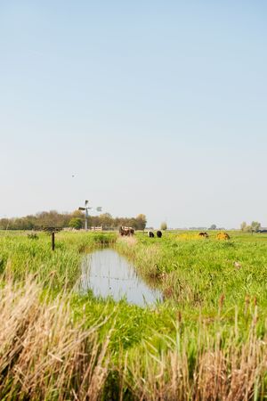 watermill in vertical Dutch landscape with meadows and ditchの写真素材