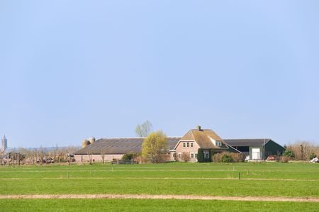 Dutch farmhouse with stables in landscape with meadowsの写真素材