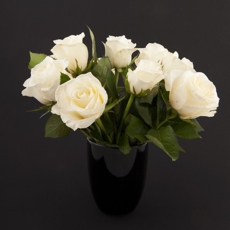 Vase white roses for a funeral isolated on blackの写真素材