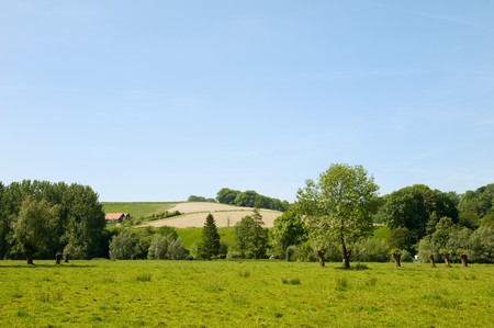 Landscape with green hills in Dutch Limburgの写真素材