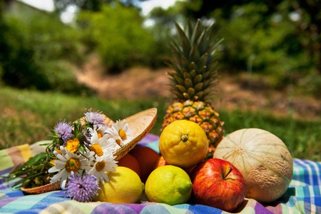 Fresh summer fruit outdoor in nature still lifeの写真素材