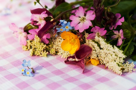 Bouquet wild flowers with forget met not and cow parsleyの写真素材