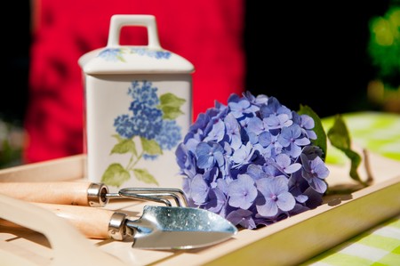 Gardening with blue Hydrangea and working toolsの写真素材