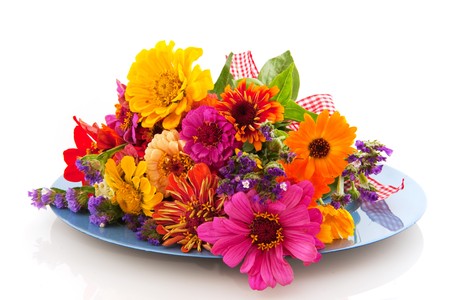 Colorful flowers in pink watering can isolated over whiteの写真素材